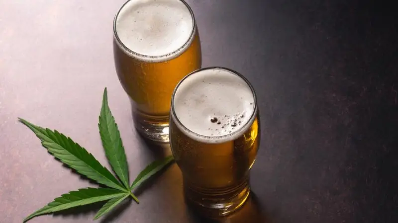 Exploring CBD Gummies as an Alternative to Alcohol