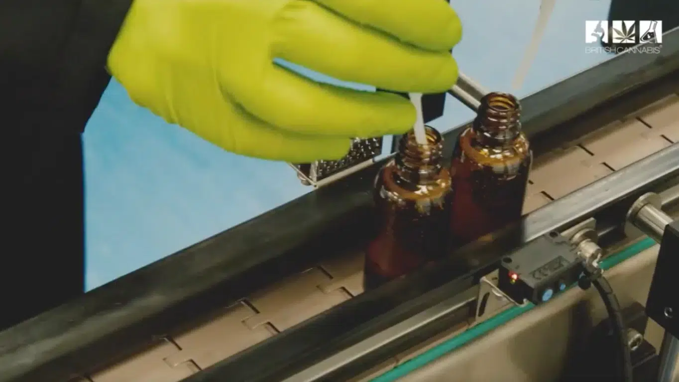 BRITISH CANNABIS media: Bottle Line Production