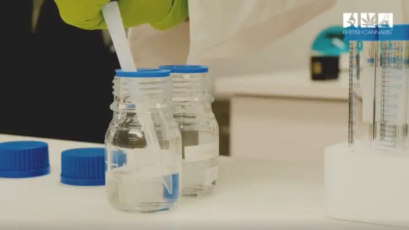 BRITISH CANNABIS media: Solution Syring Lab