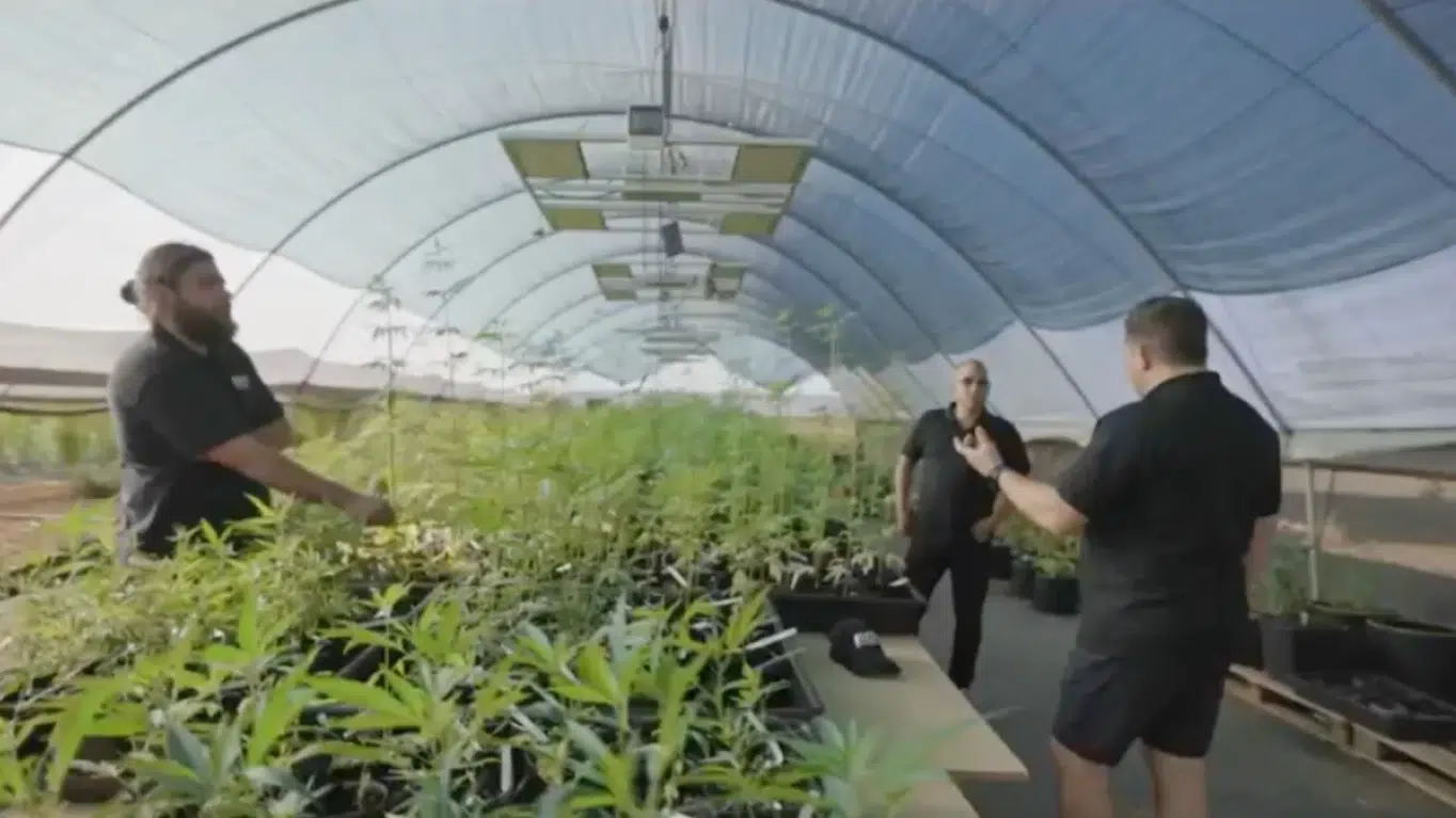 BRITISH CANNABIS media: Farm Discussion